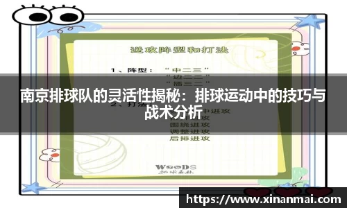 南京排球队的灵活性揭秘：排球运动中的技巧与战术分析